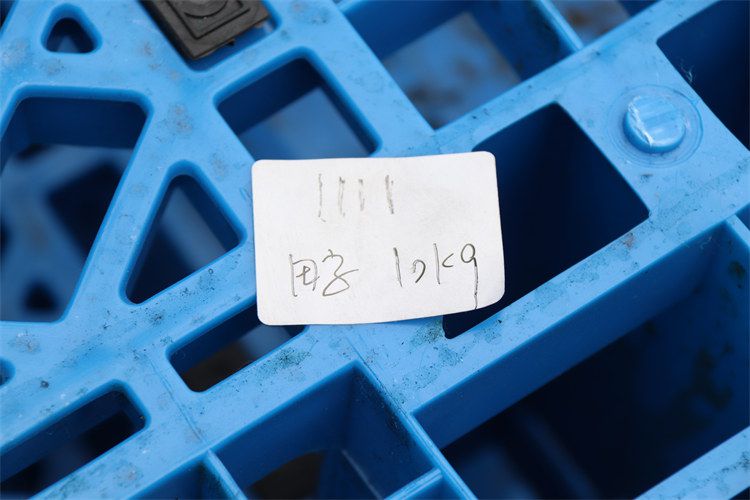 網(wǎng)格田字 1111